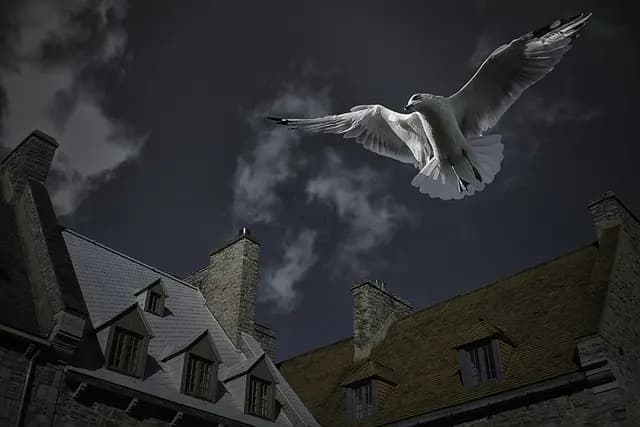 Économiseurs d'énergie à la maison : Guide d'achat