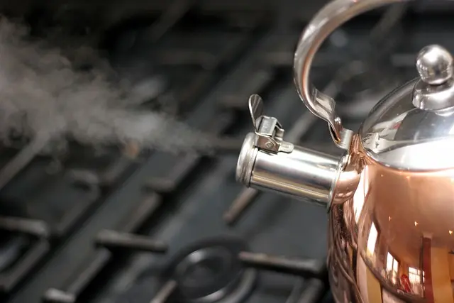 Budget-Friendly Kitchen Gadgets for Smart Cooking