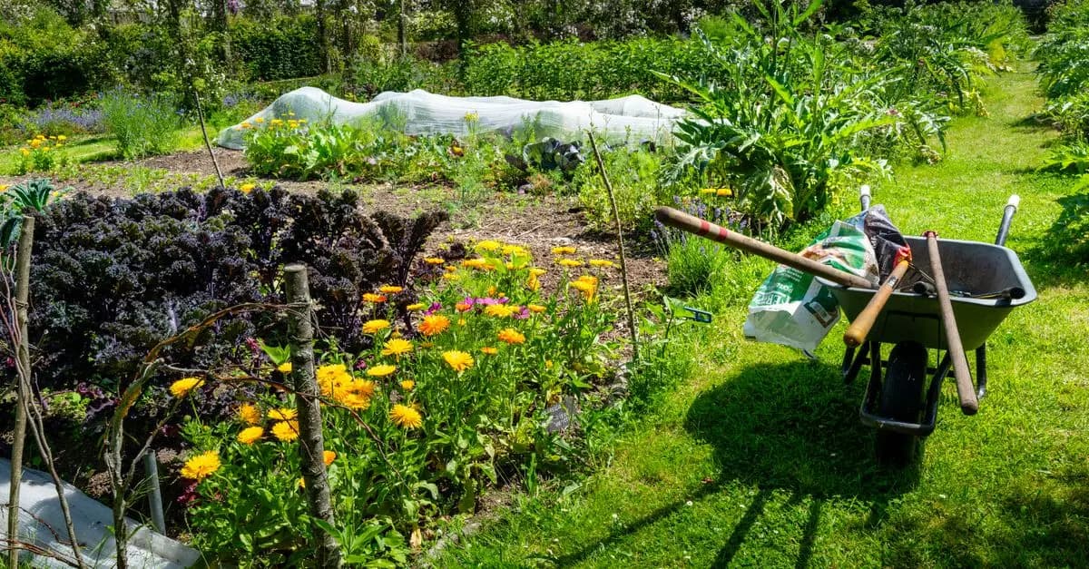 Top DIY Gardening Tools: The Ultimate Buying Guide
